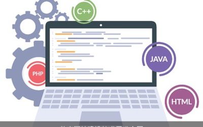 國際計算機應用軟件許可合同